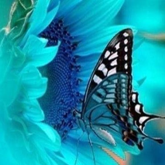 Meet your Posher, Loree - Picture 1 of 1